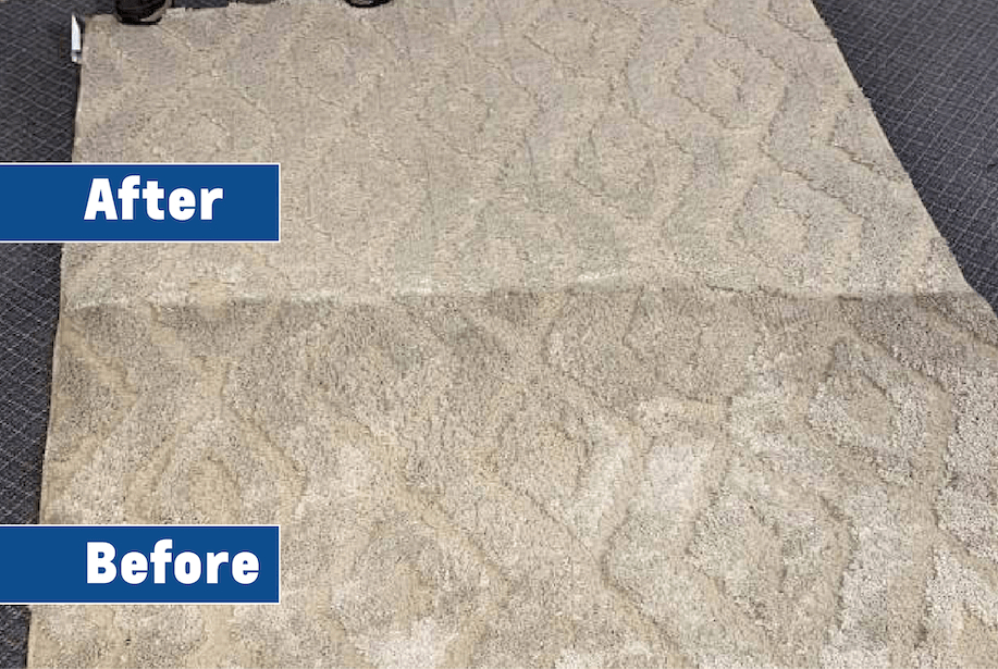Carpet cleaning before and after